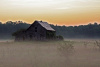 Ocqueod Road Barn in Fog